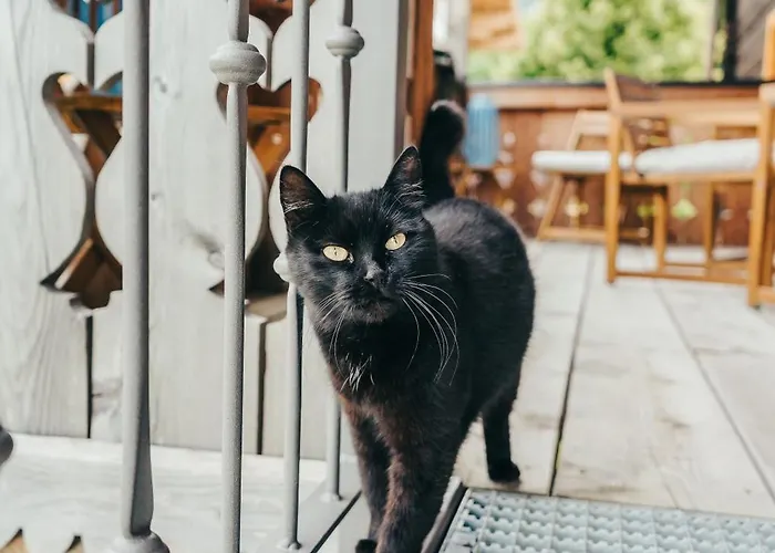 Seebachers Diktengut * Radstadt